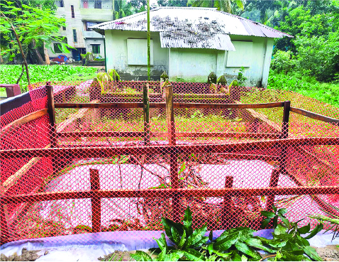 Image of মো: সেলিম তালুকদার
